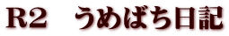 Ｒ２　うめばち日記