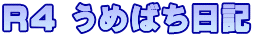 R4 うめばち日記