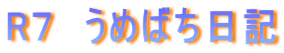 R７　うめばち日記