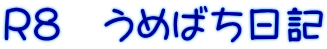 R８　うめばち日記